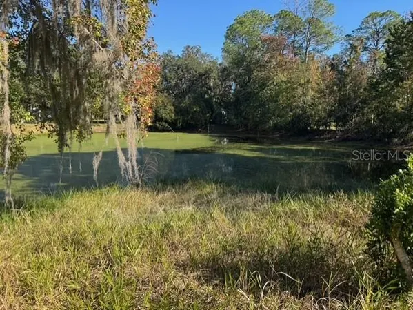 a view of a lake view