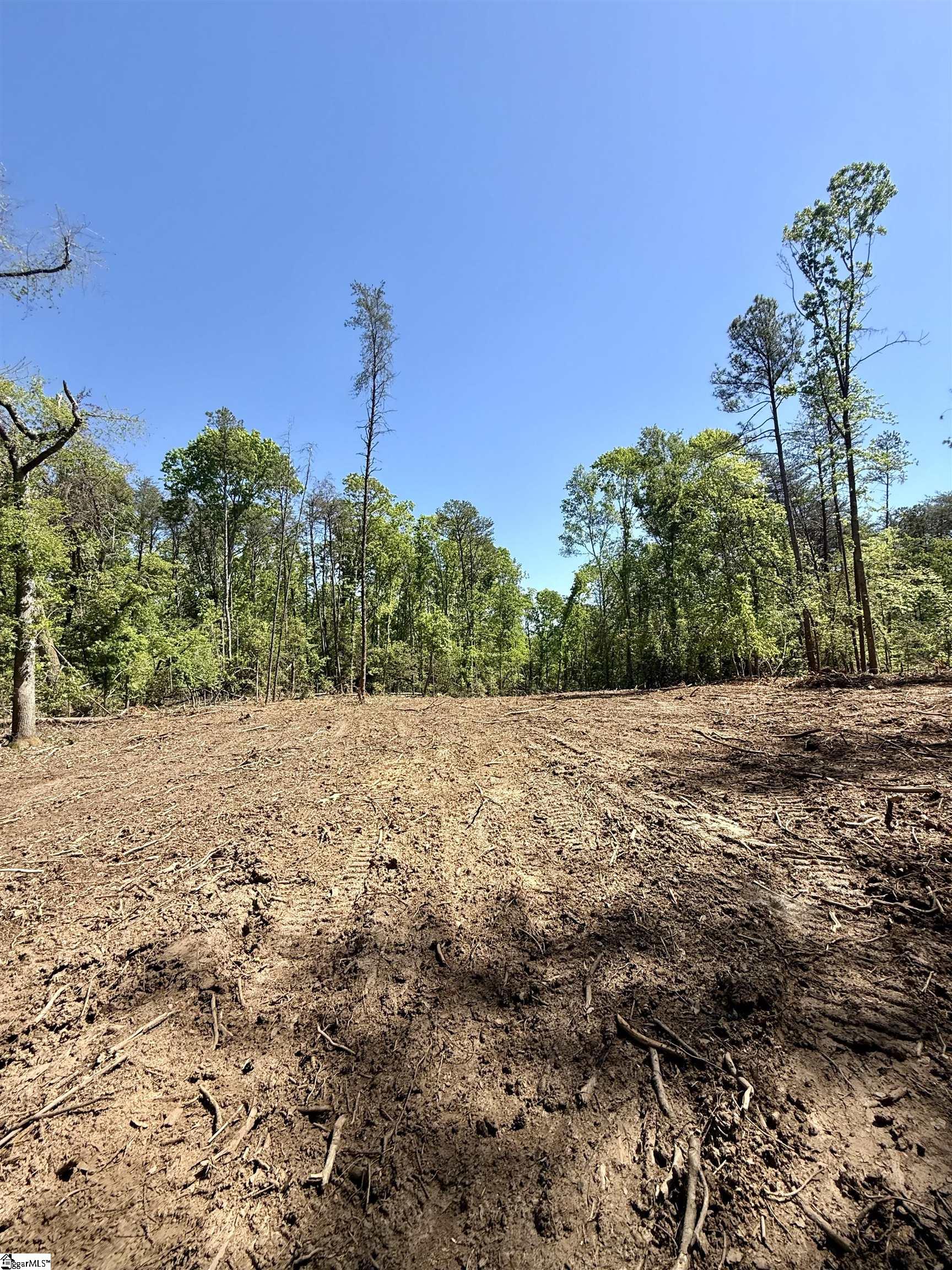 0 Thompson Road Greer, SC 29651 - Photo 19 of 31