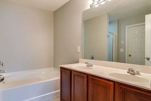 a bathroom with a tub sink and mirror
