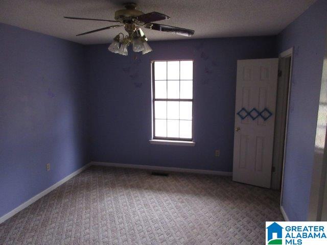 250 Birch Tree Road Hayden, AL 35079 - Photo 18 of 25