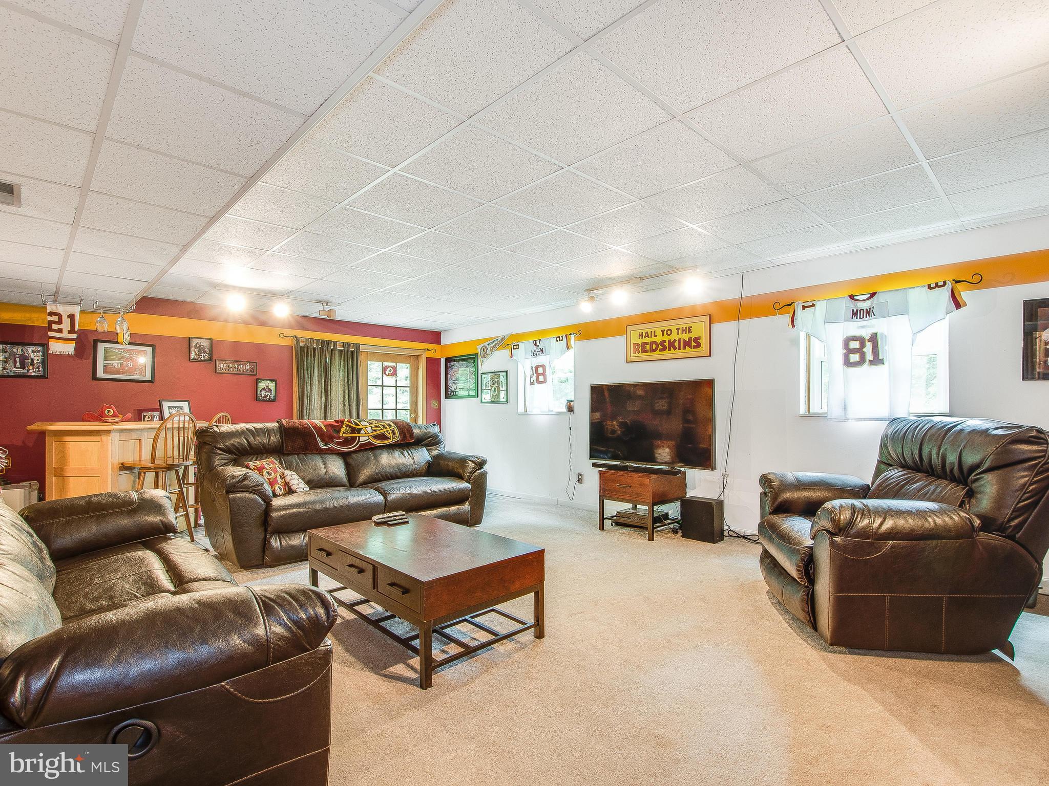 5412 Cabbage Spring Road Mount Airy, MD 21771 - Photo 19 of 30 Light-Filled Walk-Out Basement