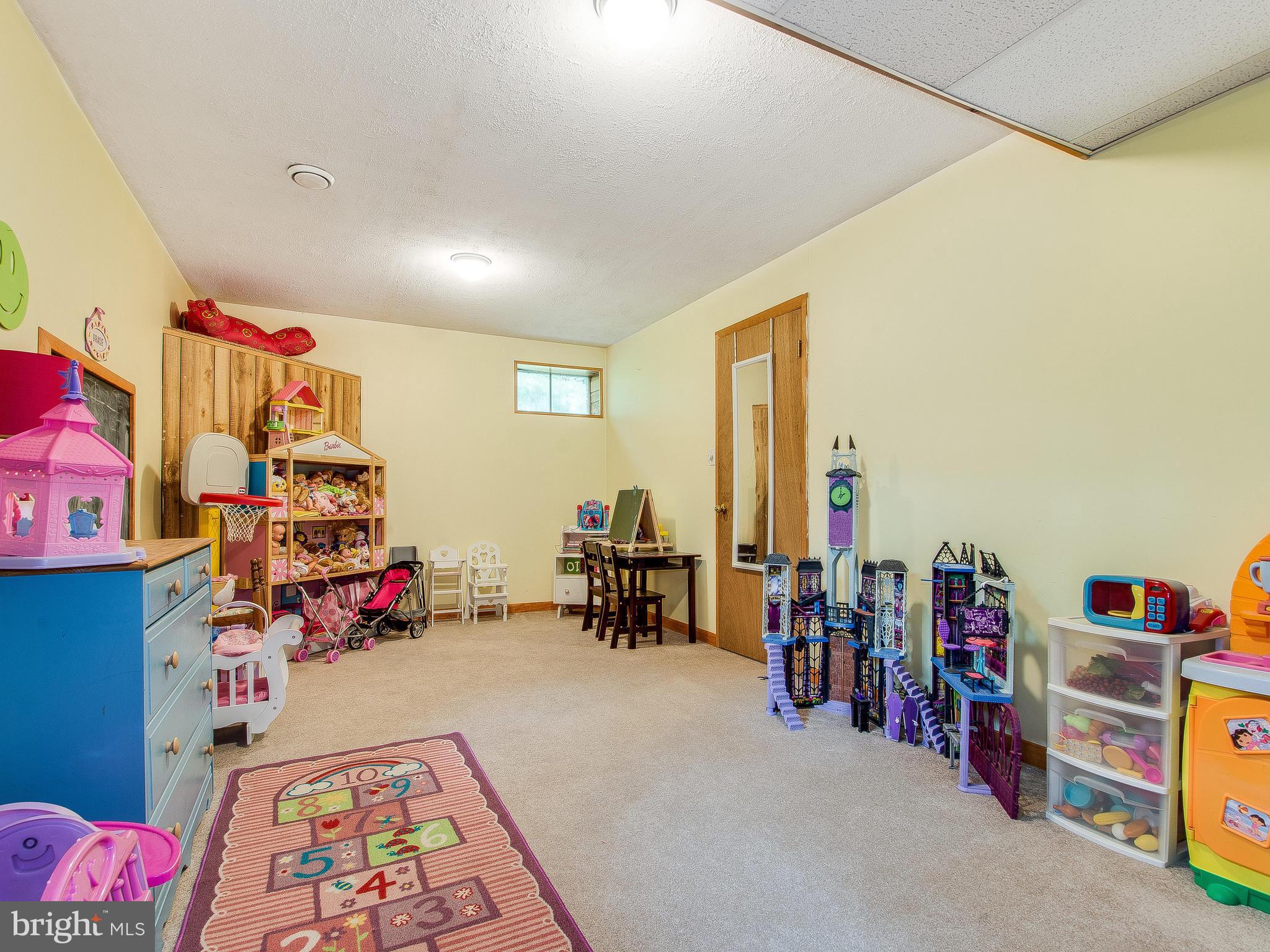 5412 Cabbage Spring Road Mount Airy, MD 21771 - Photo 21 of 30 Basement