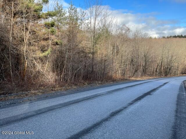 8 Peasley Road Berne, NY 12023 - Photo 1 of 15 IMG_2548