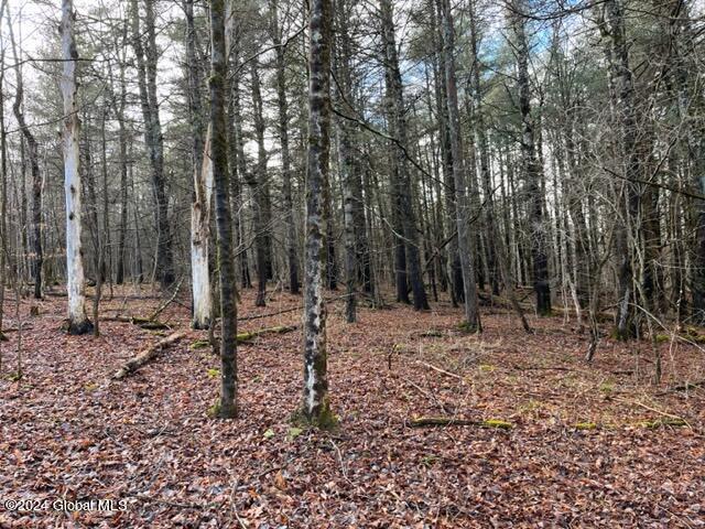 8 Peasley Road Berne, NY 12023 - Photo 11 of 15 IMG_2559