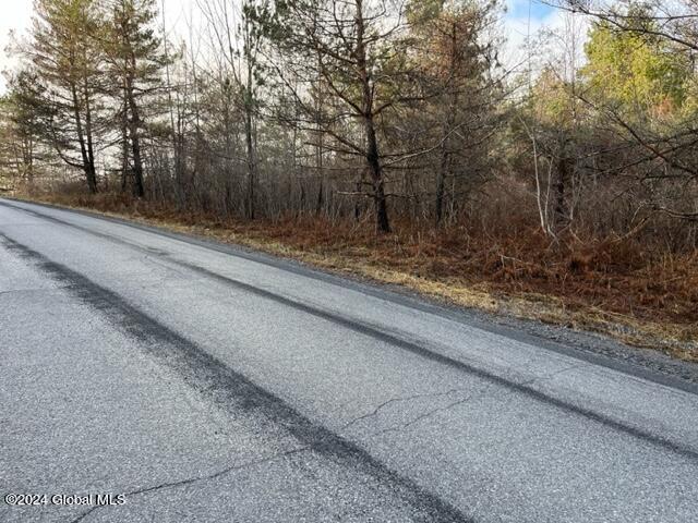 8 Peasley Road Berne, NY 12023 - Photo 2 of 15 IMG_2549