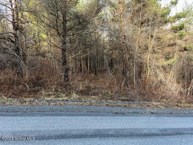 8 Peasley Road Berne, NY 12023 - Photo 3 of 15 IMG_2550