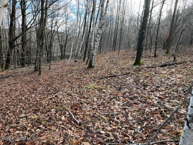 8 Peasley Road Berne, NY 12023 - Photo 4 of 15 IMG_2551