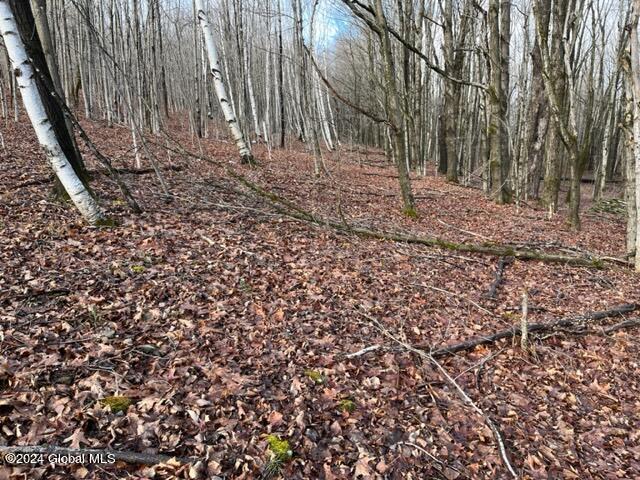 8 Peasley Road Berne, NY 12023 - Photo 5 of 15 IMG_2552