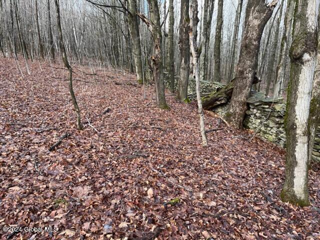 8 Peasley Road Berne, NY 12023 - Photo 6 of 15 IMG_2553