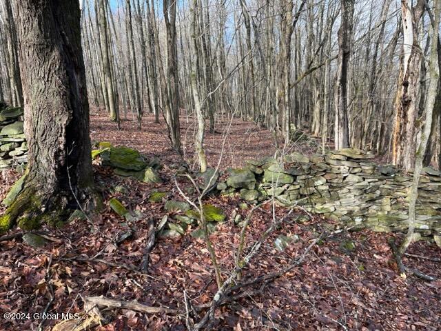 8 Peasley Road Berne, NY 12023 - Photo 7 of 15 IMG_2554