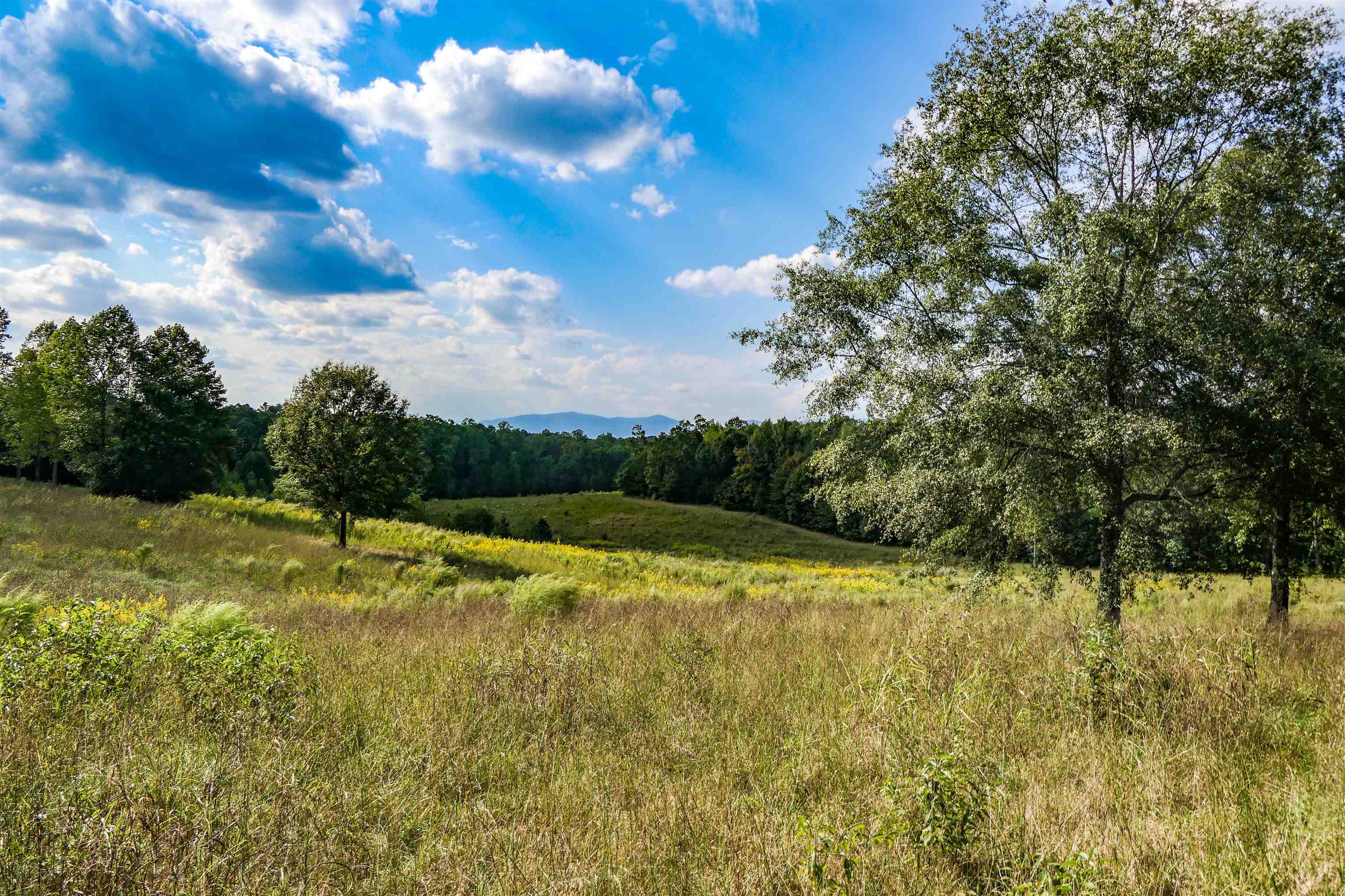 357 North N Highway Campobello, SC 29322 - Photo 3 of 10