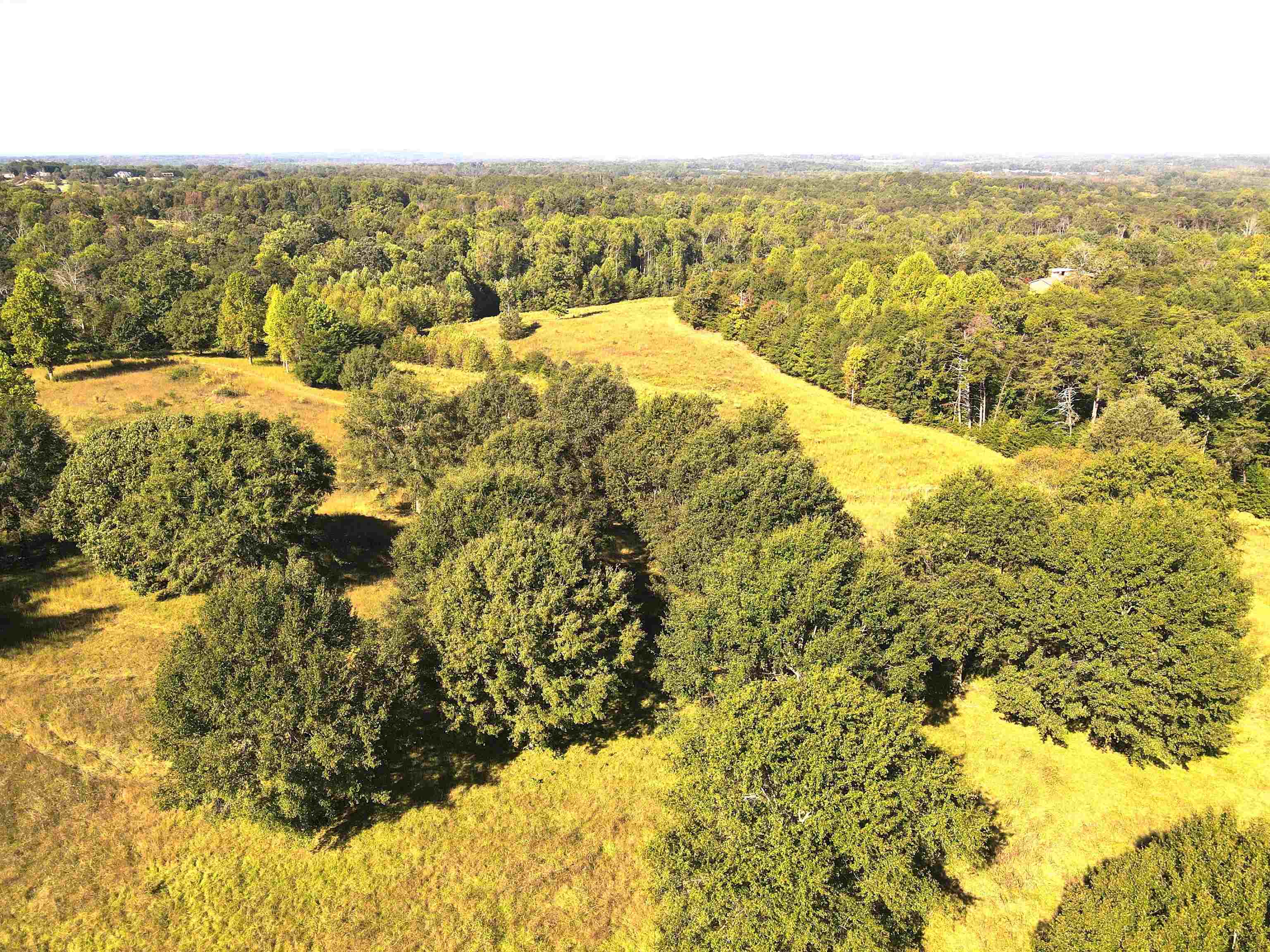 357 North N Highway Campobello, SC 29322 - Photo 6 of 10