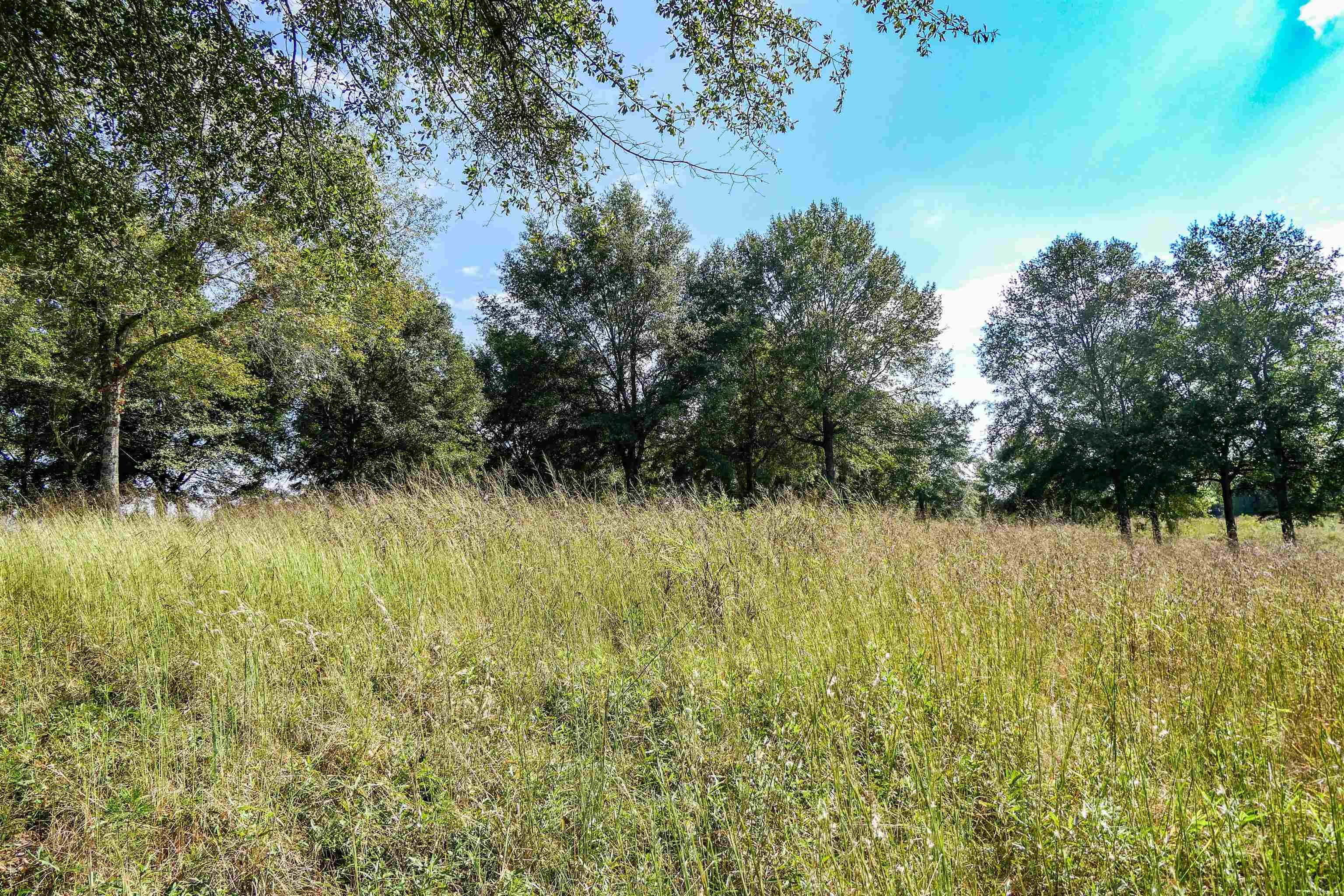 357 North N Highway Campobello, SC 29322 - Photo 8 of 10