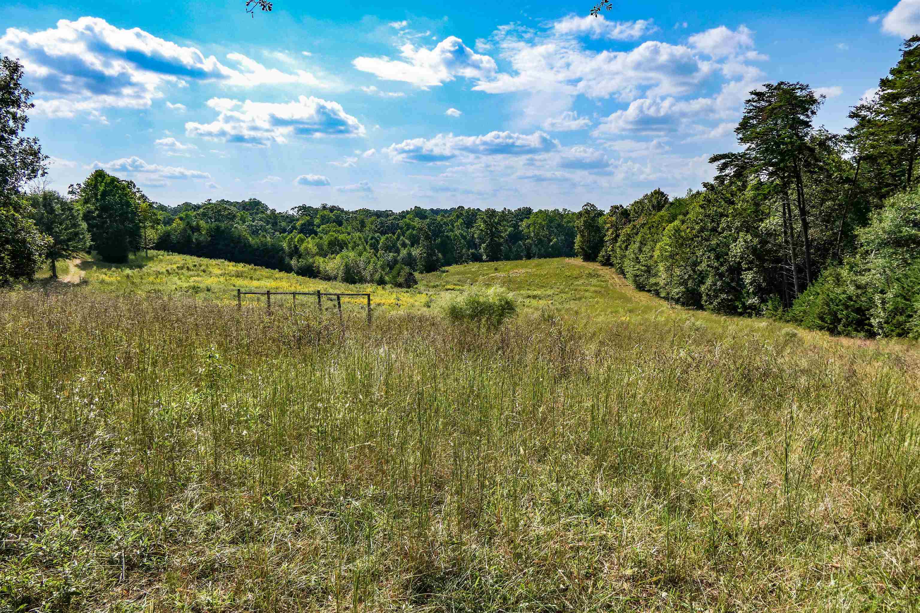 357 North N Highway Campobello, SC 29322 - Photo 9 of 10