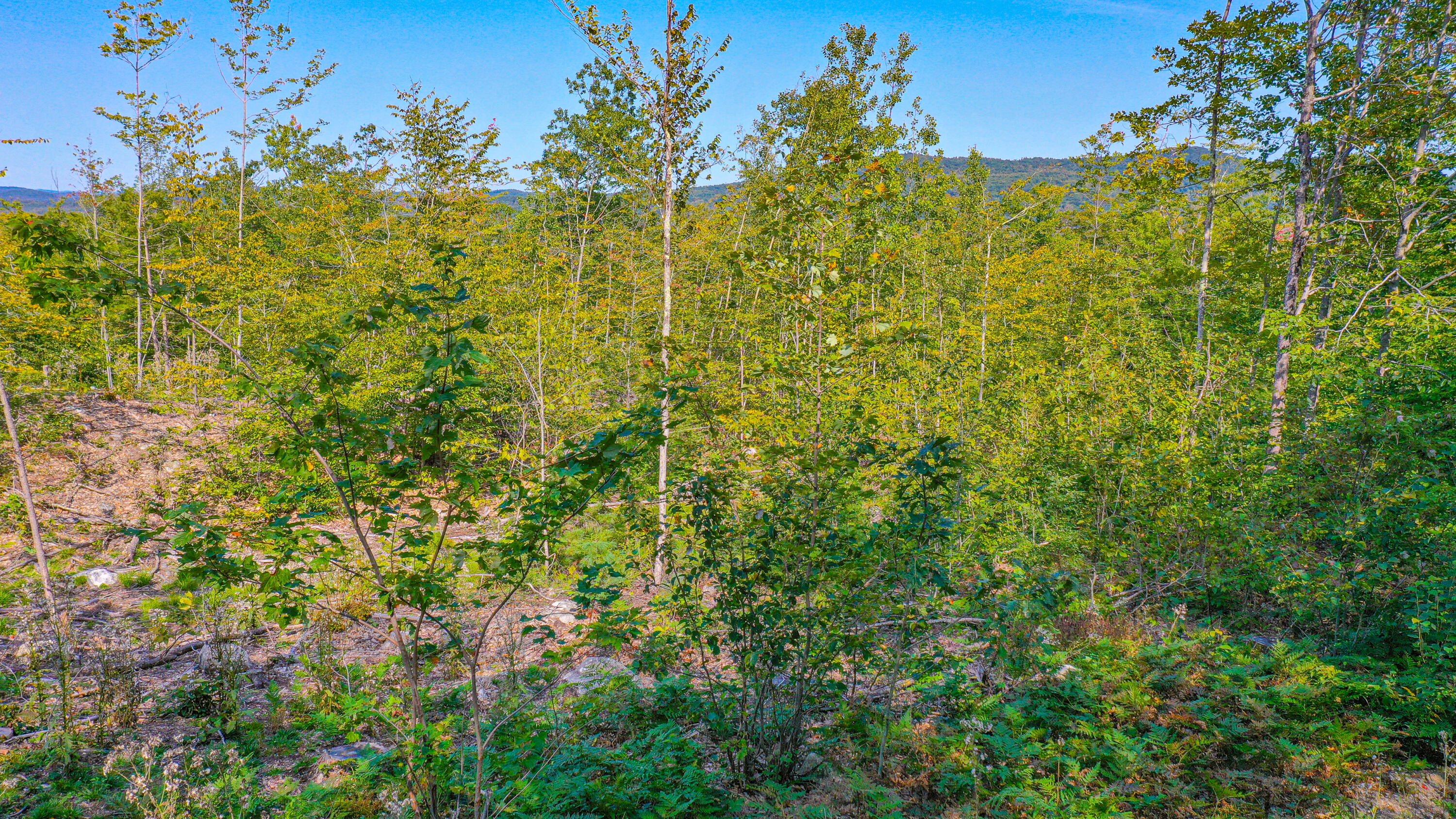 0 Bridgton Road Sebago, ME 04029 - Photo 10 of 12 87 dyke mountain road-49