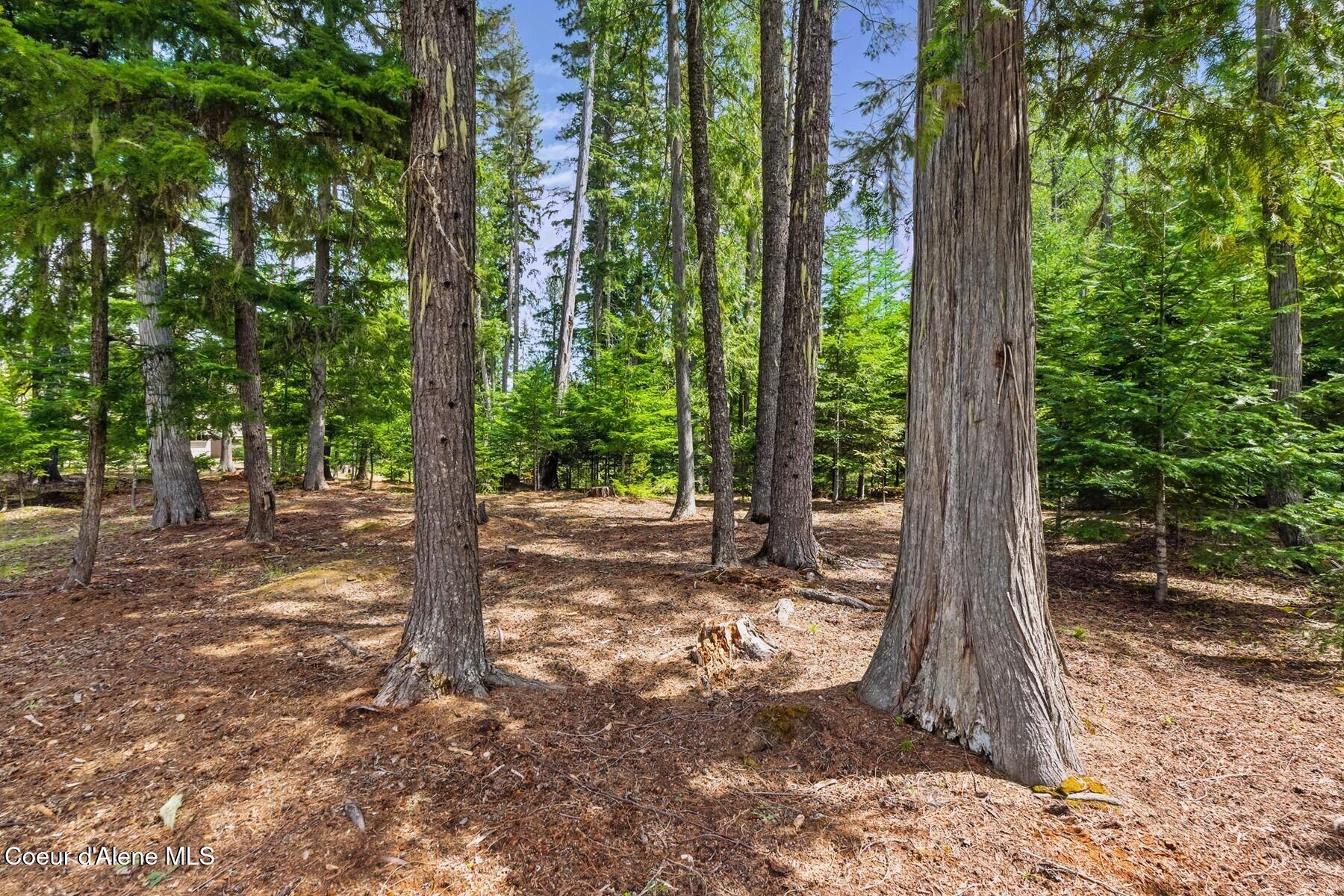 Lot 28 Bruin Road Nordman, ID 83848 - Photo 8 of 13 85754559