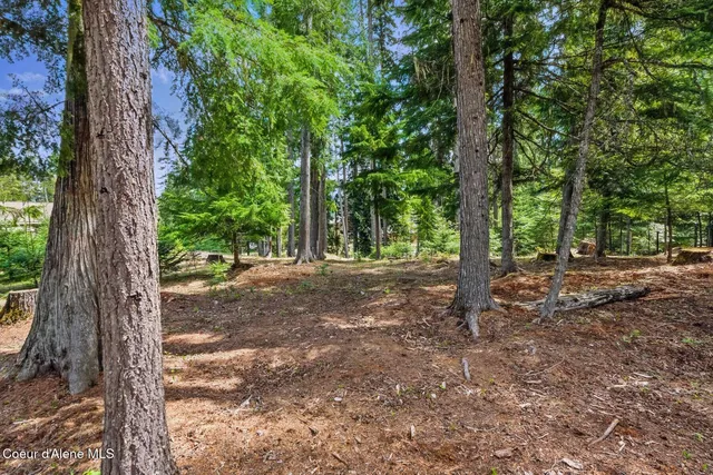 $235,000 | Lot 28 Bruin Road, Nordman, ID 83848