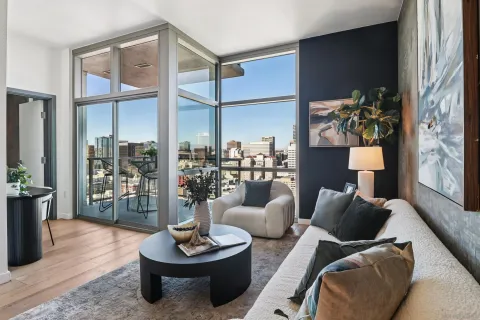 a living room with furniture and a potted plant