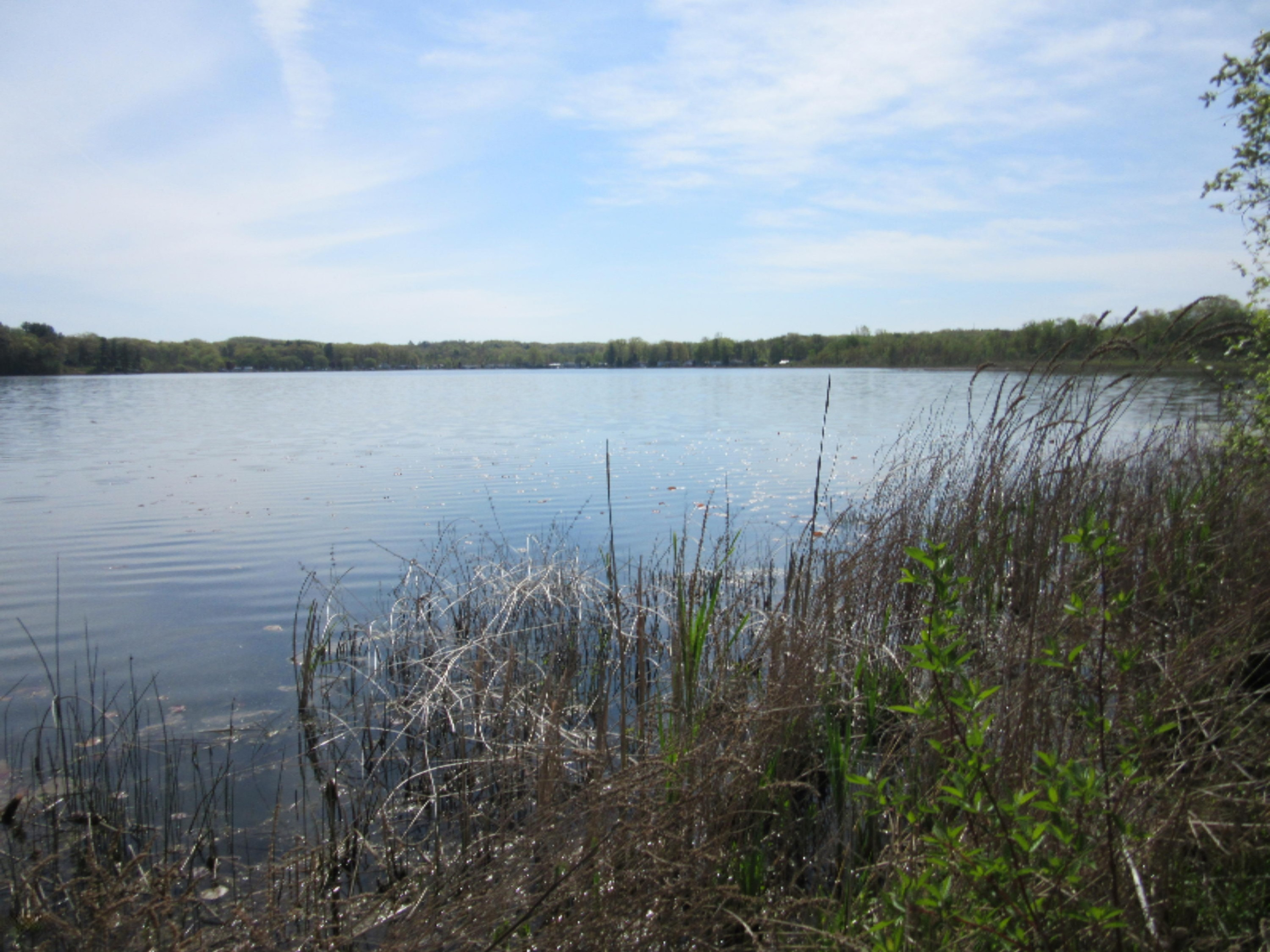 4275 White Road Pierson, MI 49339 - Photo 13 of 15 IMG_8323