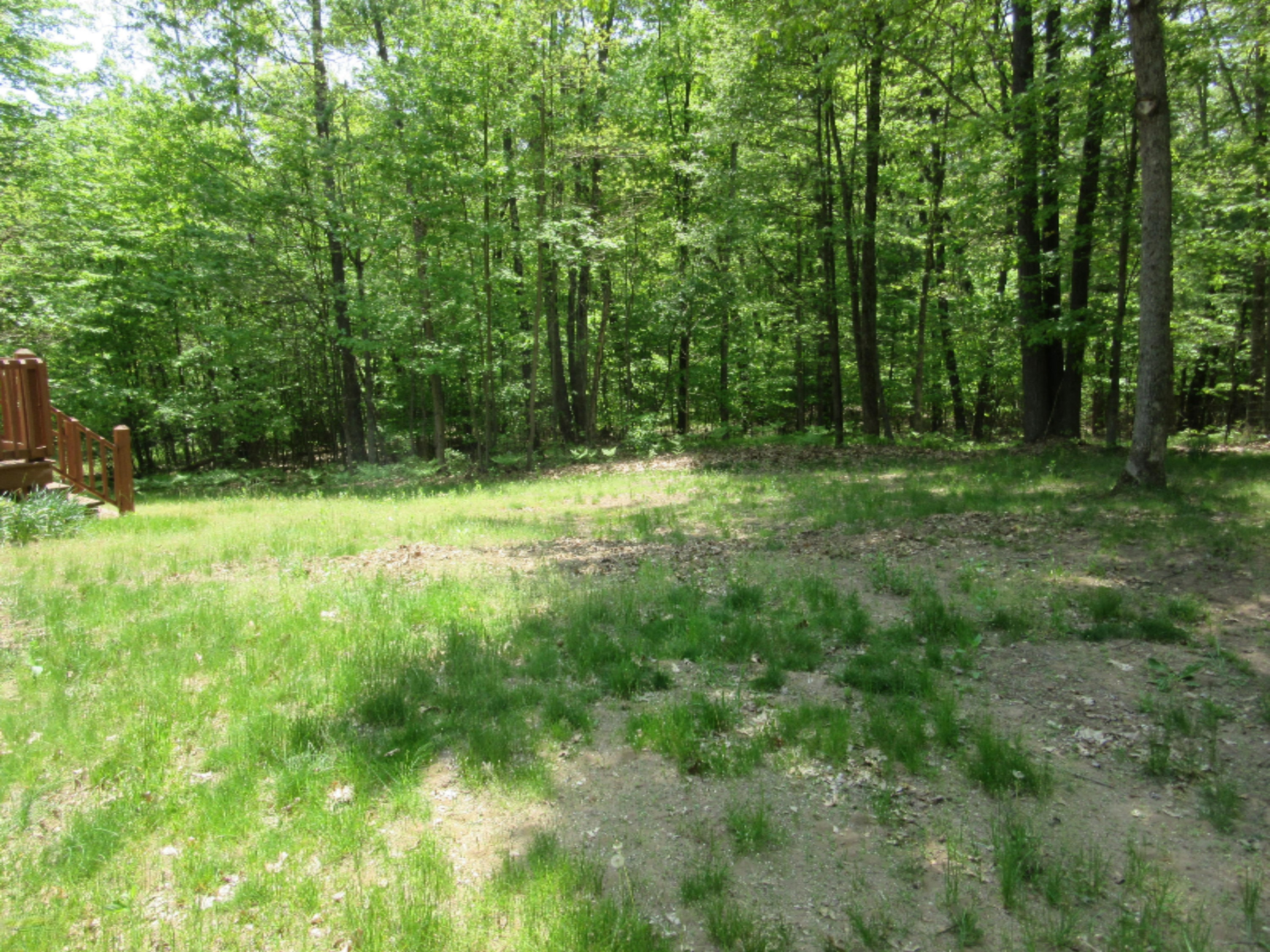 4275 White Road Pierson, MI 49339 - Photo 15 of 15 IMG_8463