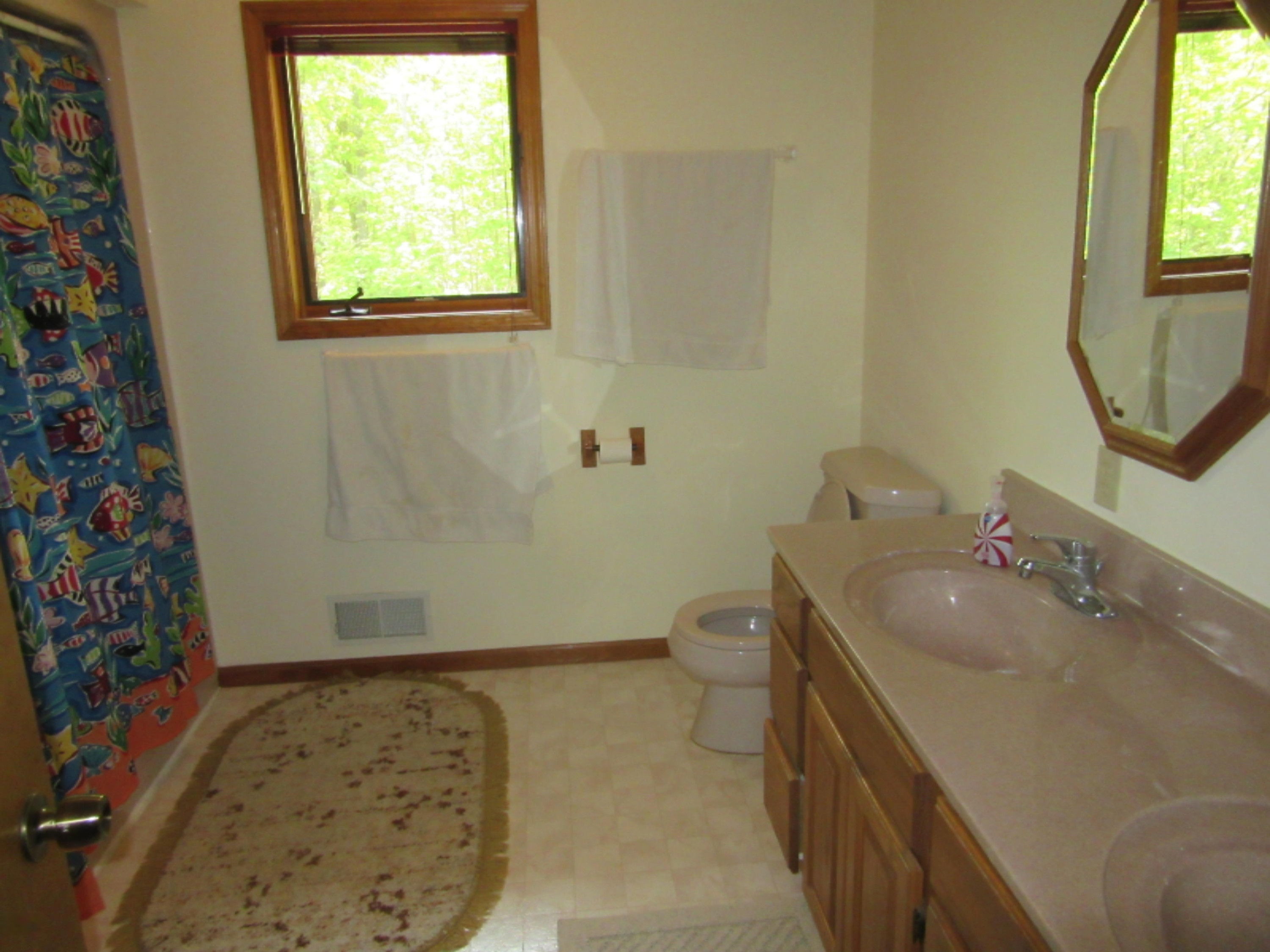4275 White Road Pierson, MI 49339 - Photo 9 of 15 IMG_8481