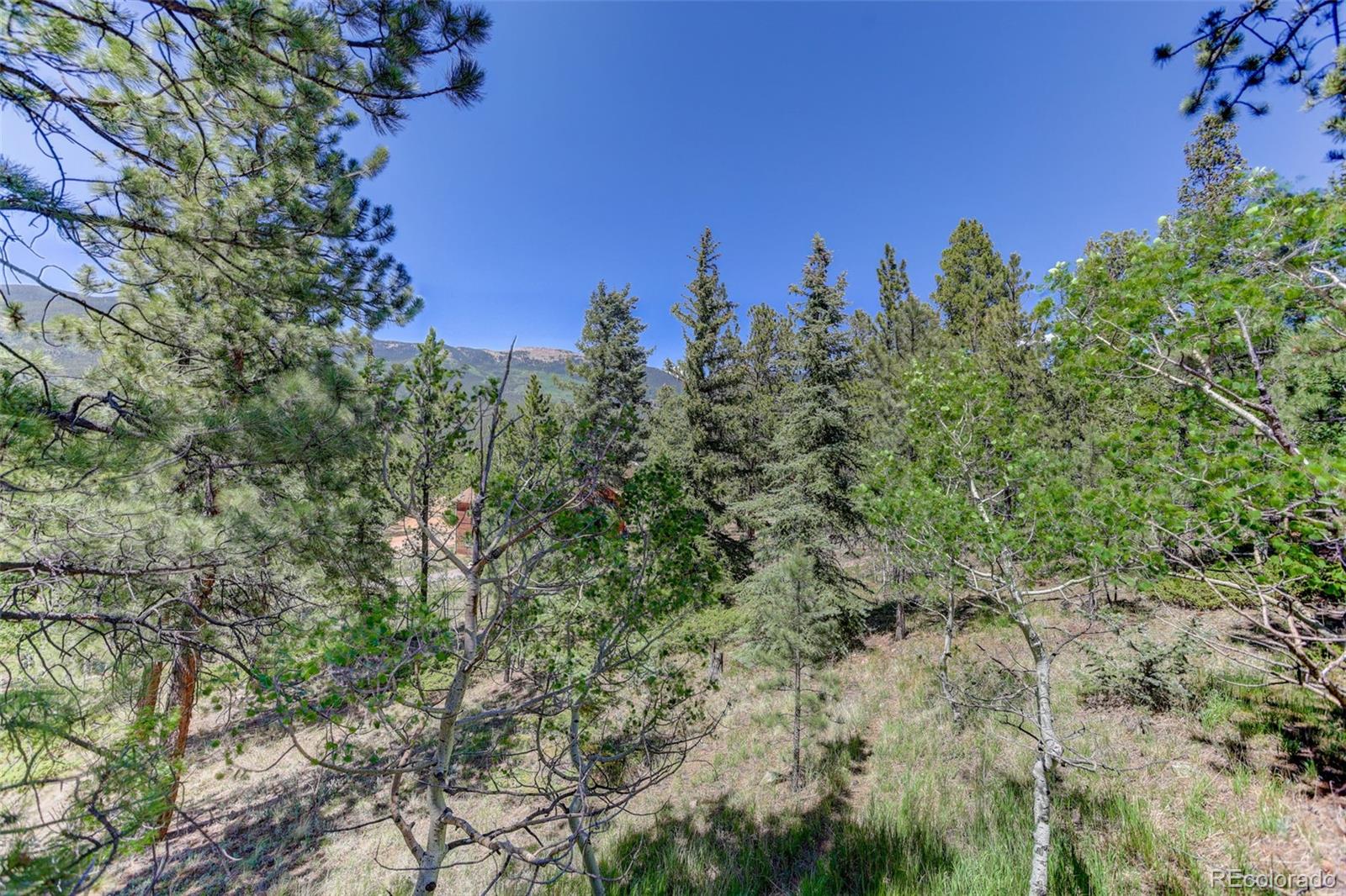 606 Clark Road Bailey, CO 80421 - Photo 39 of 40