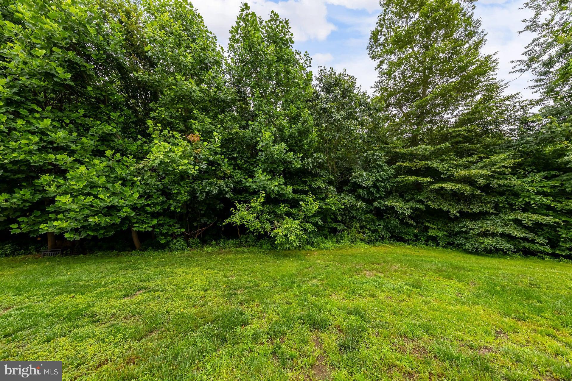 372 Concetta Drive Mount Royal, NJ 08061 - Photo 25 of 25 a view of a green yard