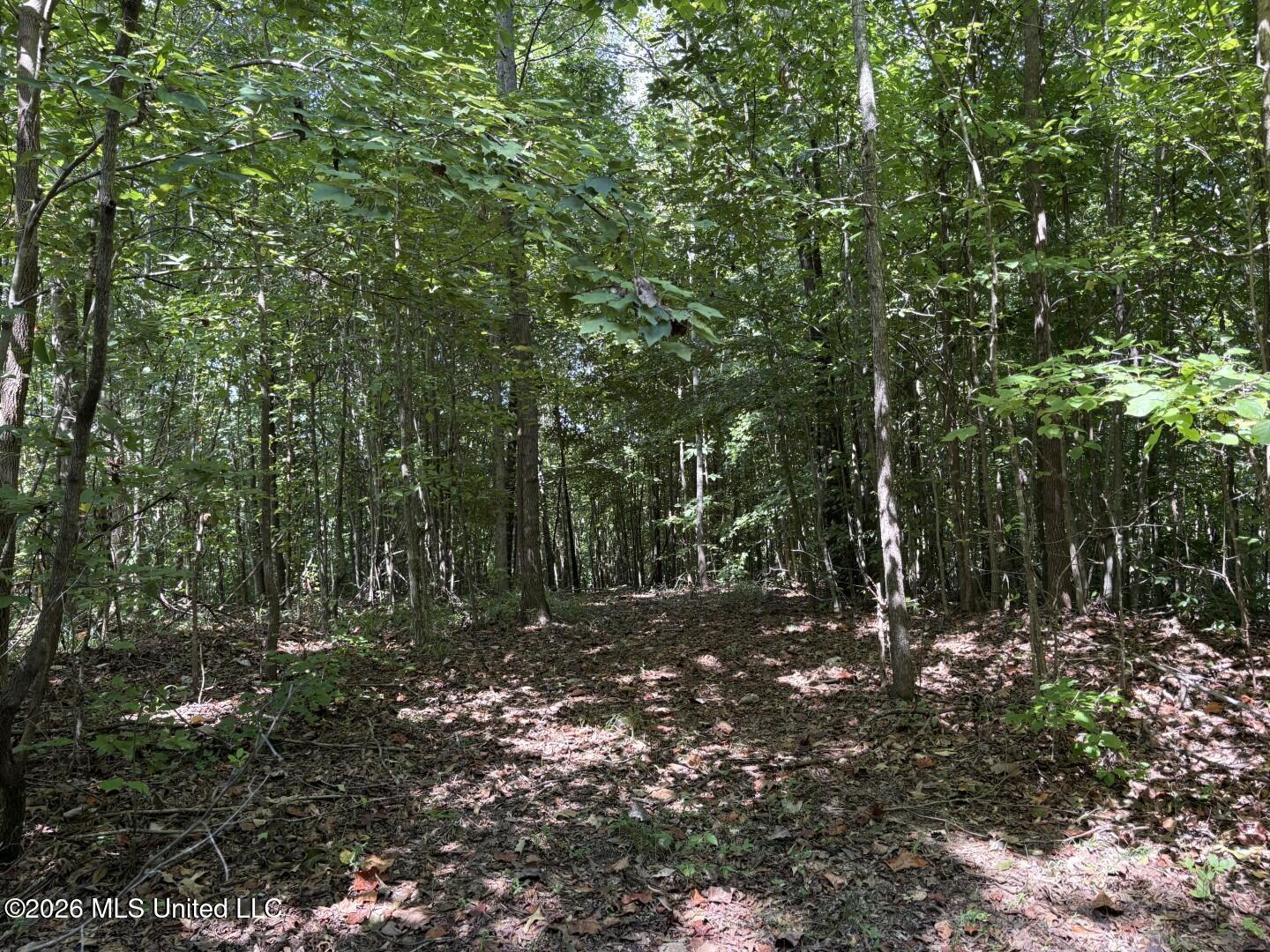 180 County Road New Albany, MS 38652 - Photo 29 of 39 Photo Aug 27 2026, 2 19 24 PM (Large)