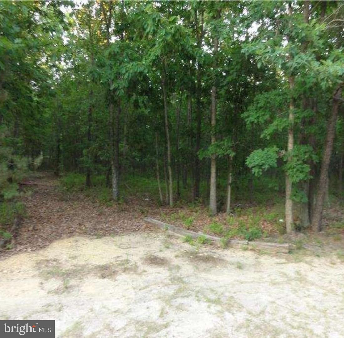 a view of outdoor space with trees all around