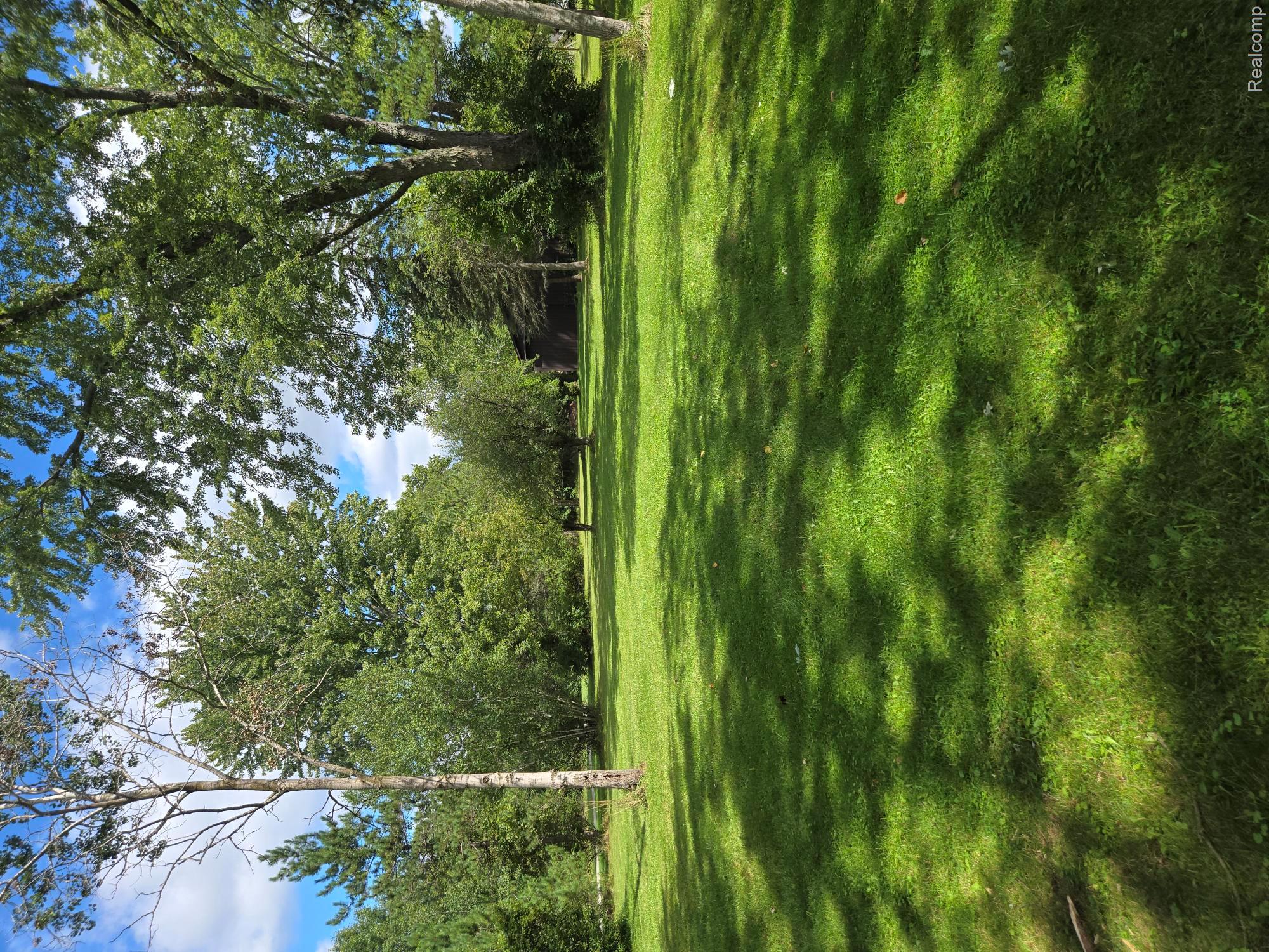 6429 Mabley Hill Road Fenton, MI 48430 - Photo 5 of 5 Expansive green lawn with mature trees and natural landscaping