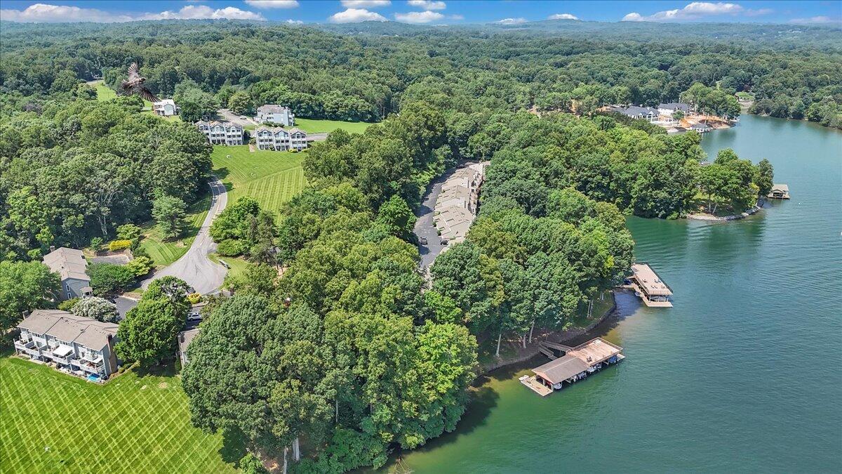 71 Waterside Circle, Unit D6 Moneta, VA 24121 - Photo 32 of 52 an aerial view of a house with a yard and lake view