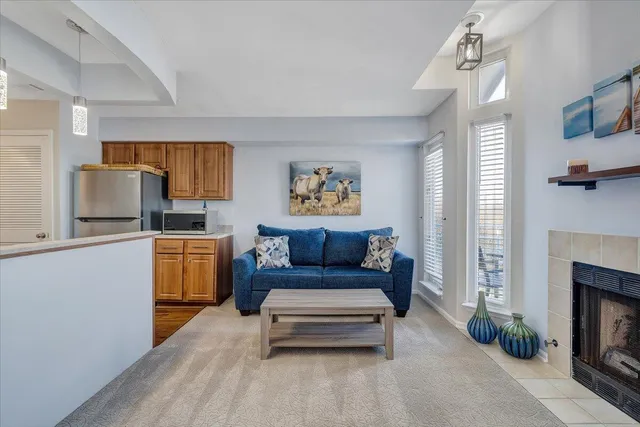 a living room with furniture and a fireplace