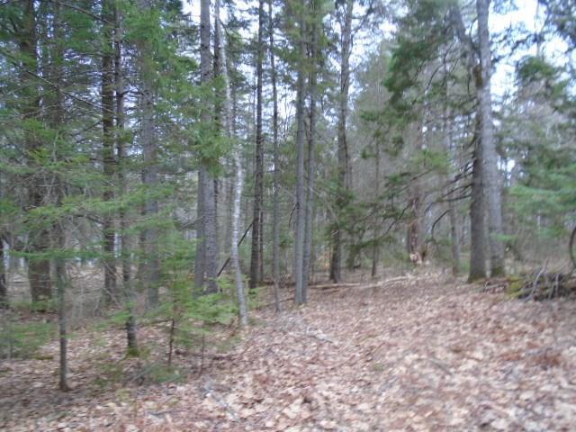 Lot D Lot D Young's Point Road Wiscasset, ME 04578 - Photo 6 of 12 20181010012911676577000000-o