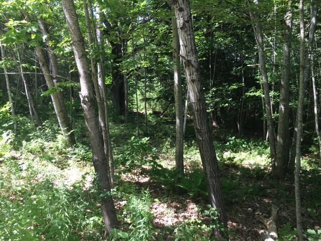 Lot 9 North Ridge Road Lincolnville, ME 04849 - Photo 5 of 9 Photo