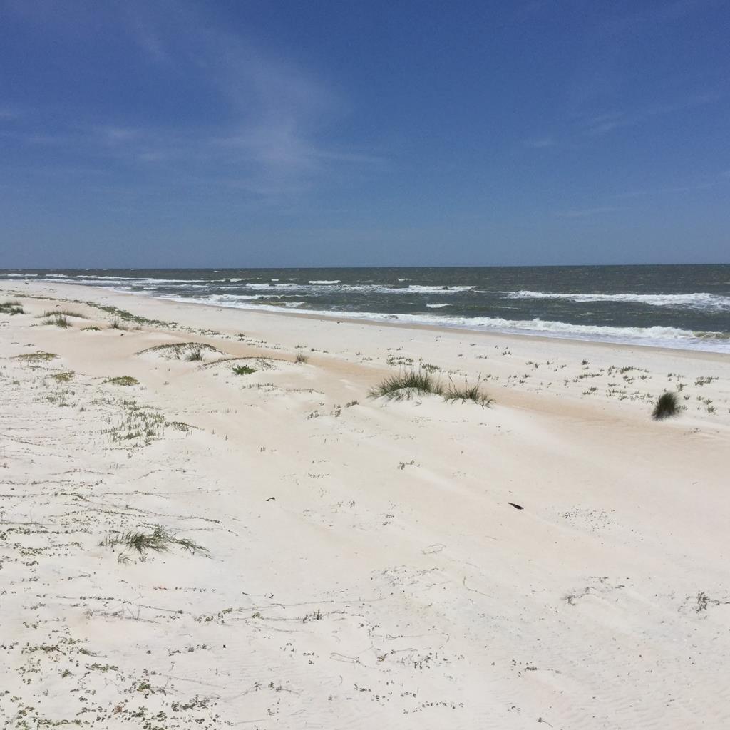1012 Porter Street St. George Island, FL 32328 - Photo 11 of 22