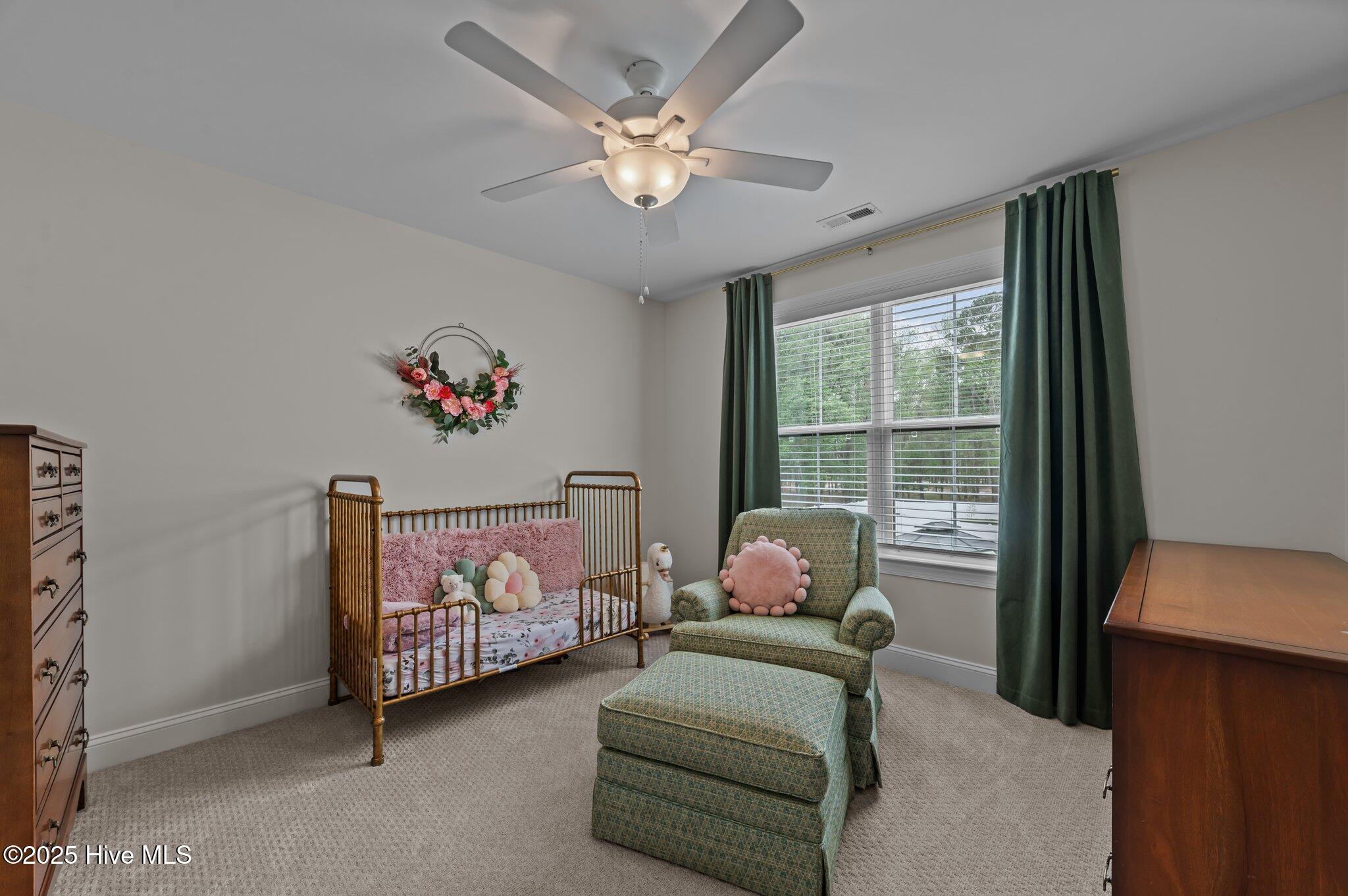 1048 Montevallo Lane Ayden, NC 28513 - Photo 27 of 42 41-web-or-mls-LHV_9579