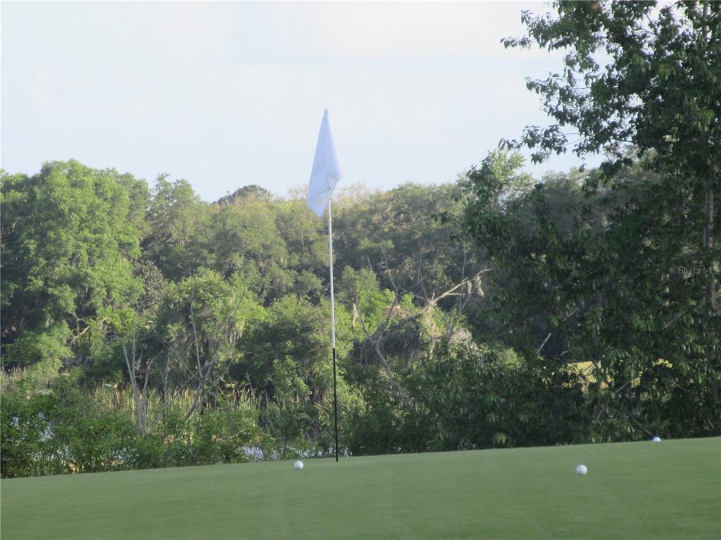 8132 Fairways Circle, Unit R103 Ocala, FL 34472 - Photo 57 of 75