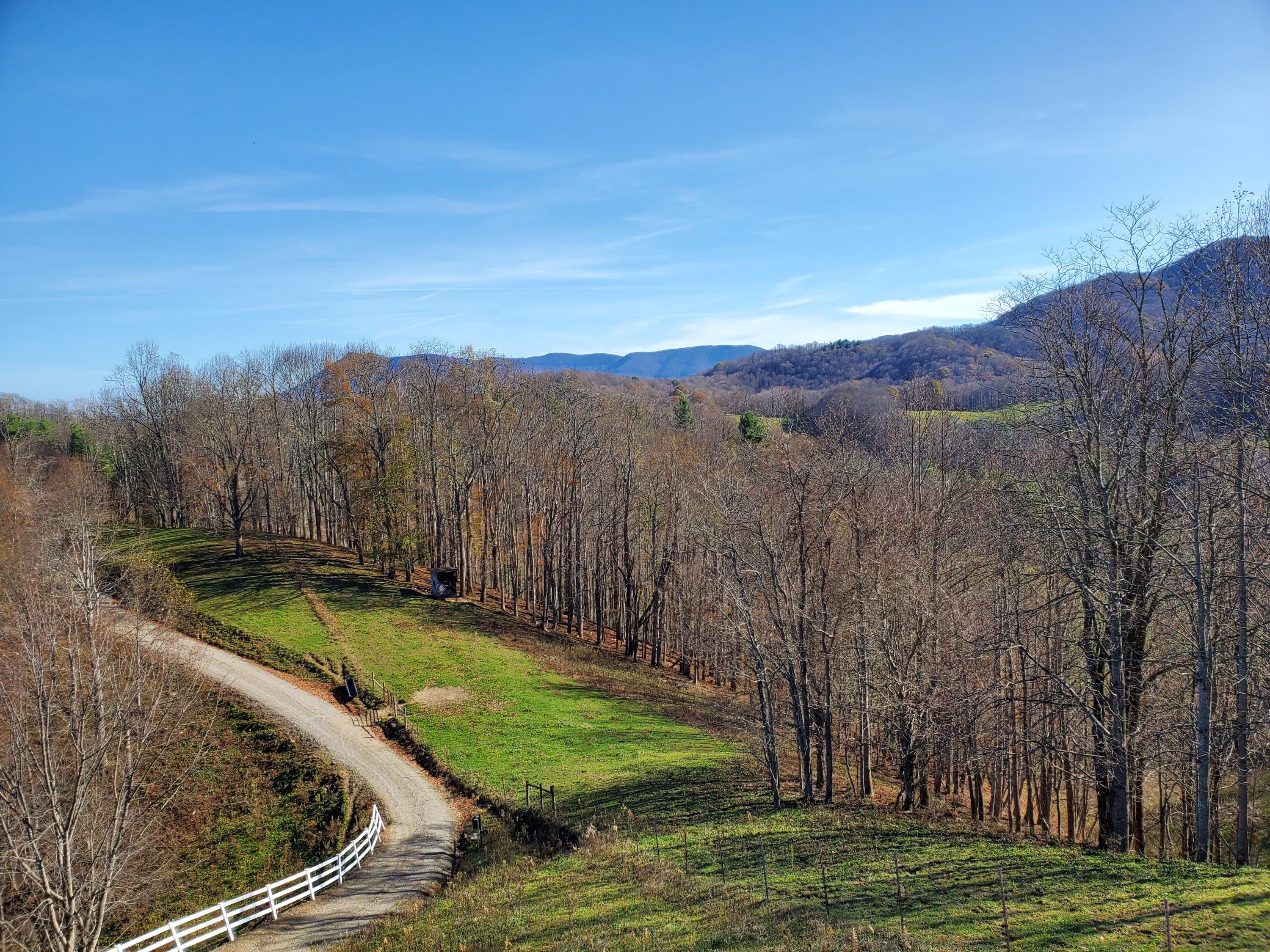 1068 Michael Road Trade, TN 37691 - Photo 30 of 52 20201105_102034