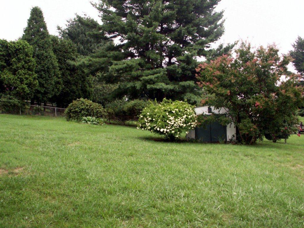 902 Olney Road Vinton, VA 24179 - Photo 3 of 24 Shed and Landscaping