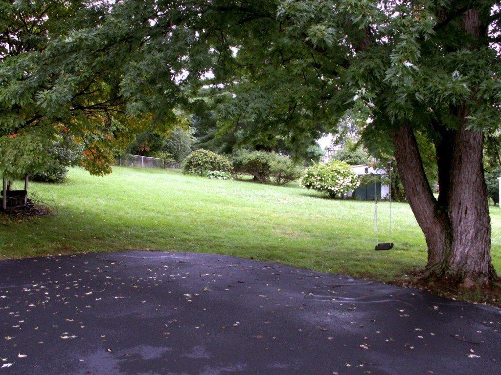 902 Olney Road Vinton, VA 24179 - Photo 7 of 24 Backyard