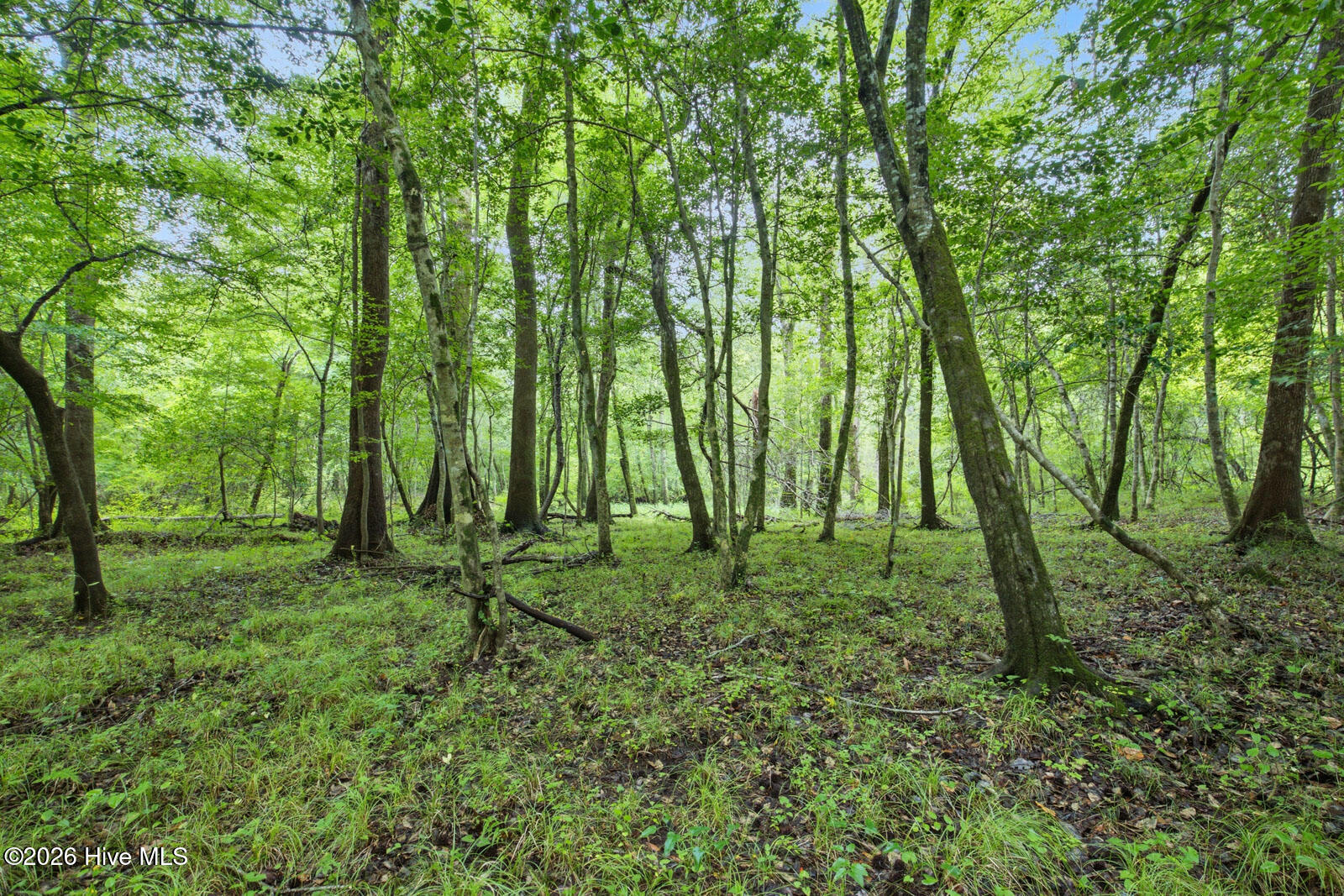 857 Mill River Road Jacksonville, NC 28540 - Photo 17 of 30