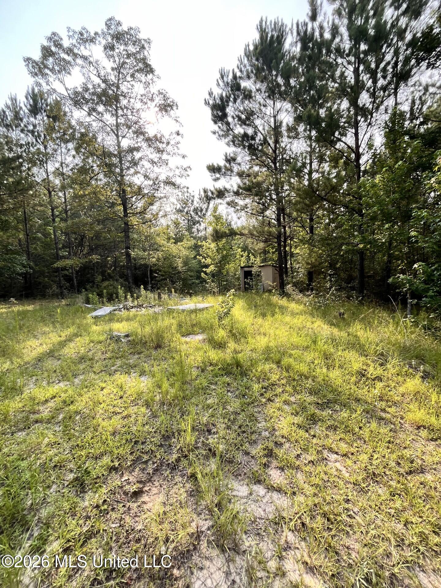 27 Roy Road Lumberton, MS 39455 - Photo 1 of 8 8e0002cc-949f-4d07-b82a-dbc39b2c37f4