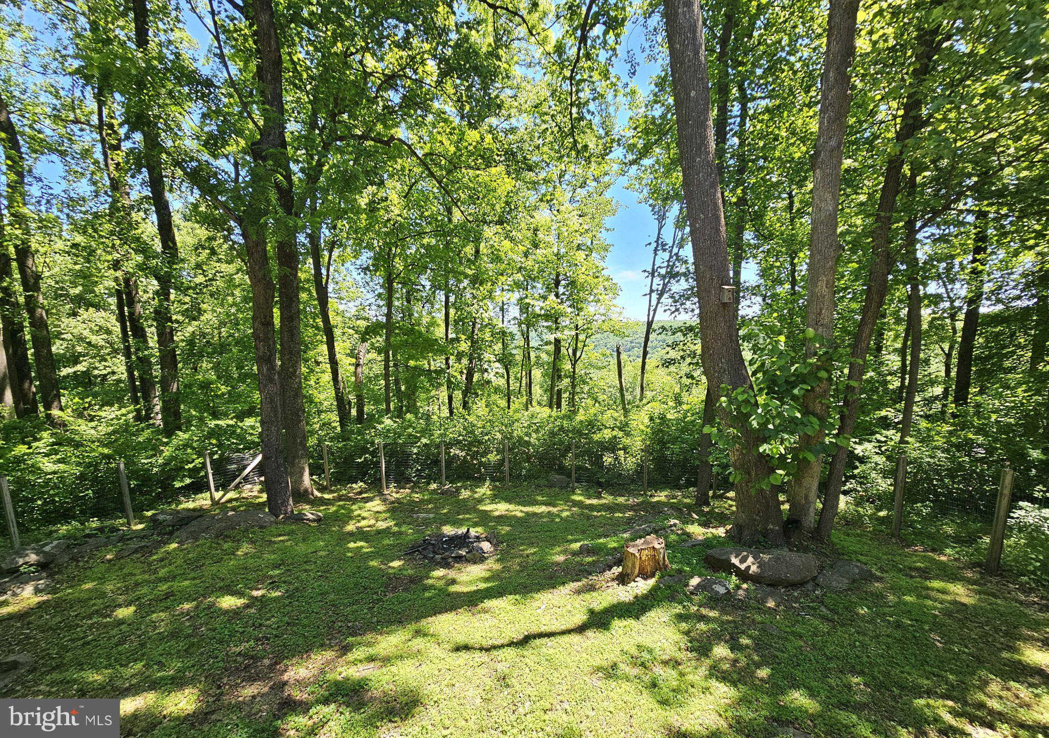 2628 High Top Road Linden, VA 22642 - Photo 5 of 11 Serene woodland retreat awaits you.