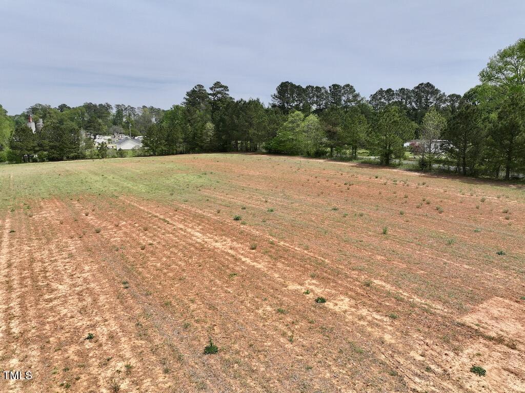 2 Savage Road Spring Hope, NC 27882 - Photo 13 of 20 13