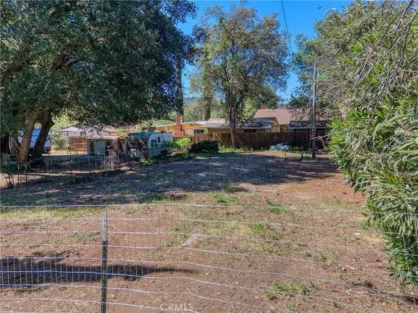 a backyard of a house with barbeque oven and a tree