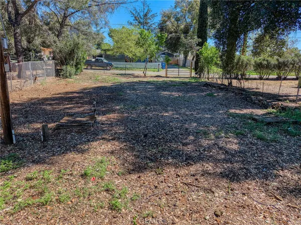 a view of a yard with tree s