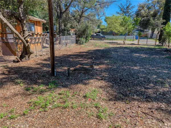 a view of backyard with tree