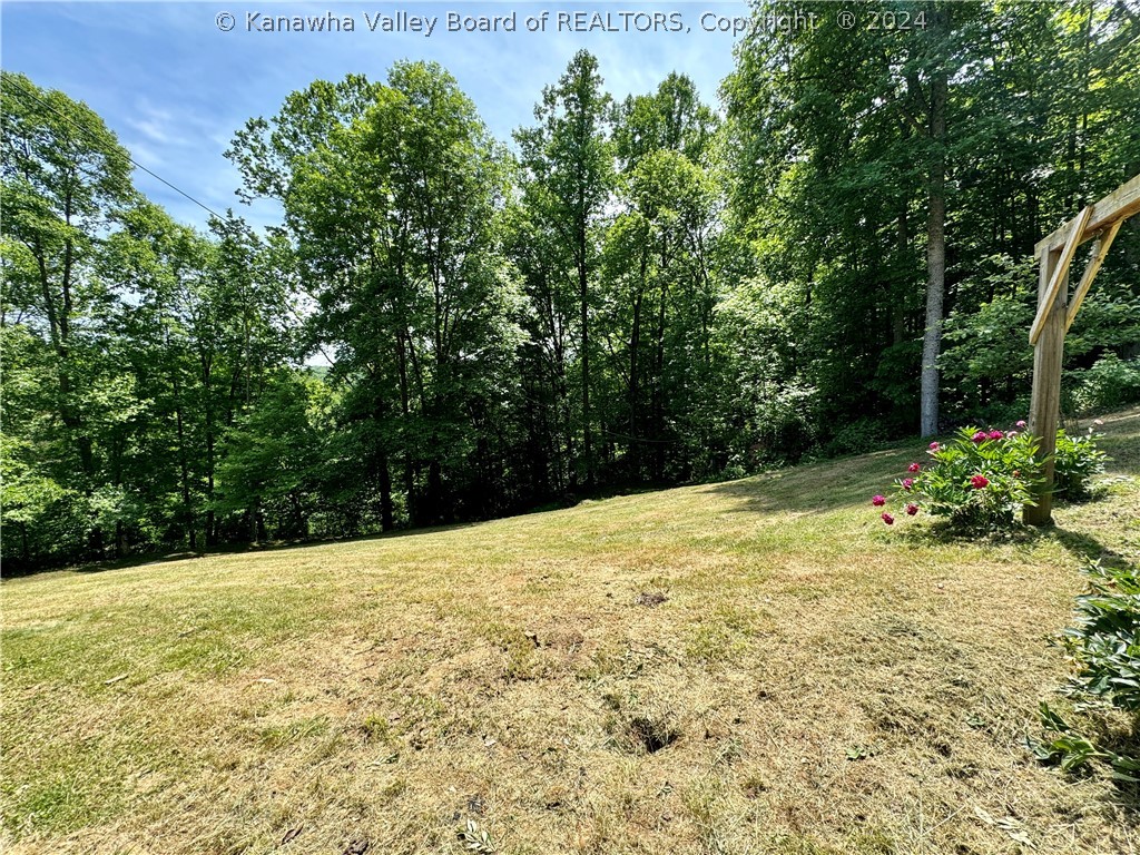 849 Old Frame Road Elkview, WV 25071 - Photo 35 of 40 Gallery Image 35