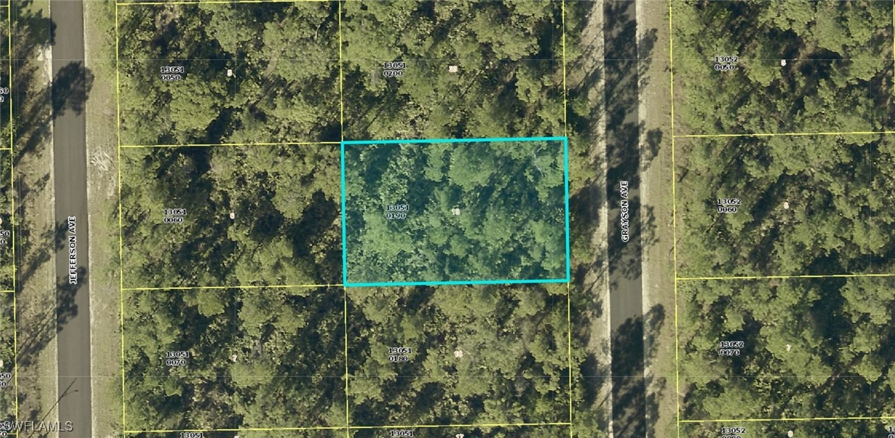 2113 Grayson Avenue Alva, FL 33920 - Photo 2 of 3 a view of a yard