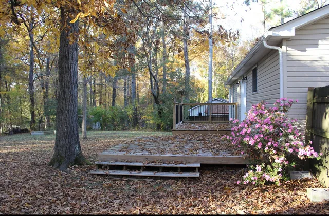 a view of a garden with a tree